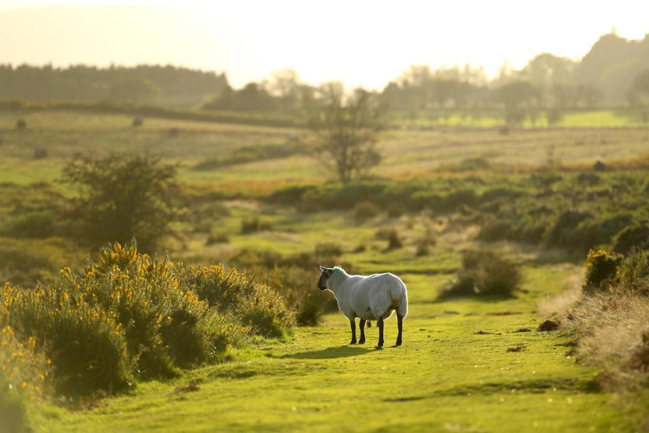 Captains Lookout Brecon Esterno foto
